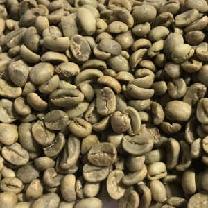 Honduras Arabica