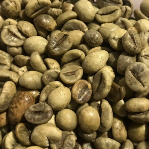 Vietnam Robusta