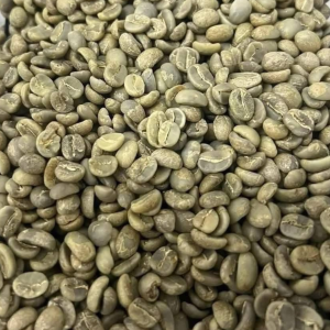 Excelsa Green Coffee