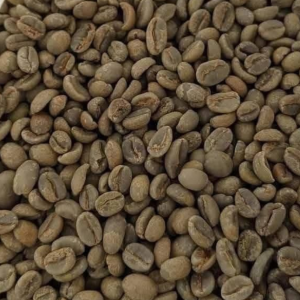 Typica Green Coffee