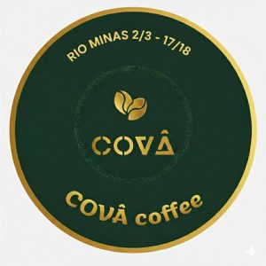 Brazil - Rio Minas 2/3 17/18