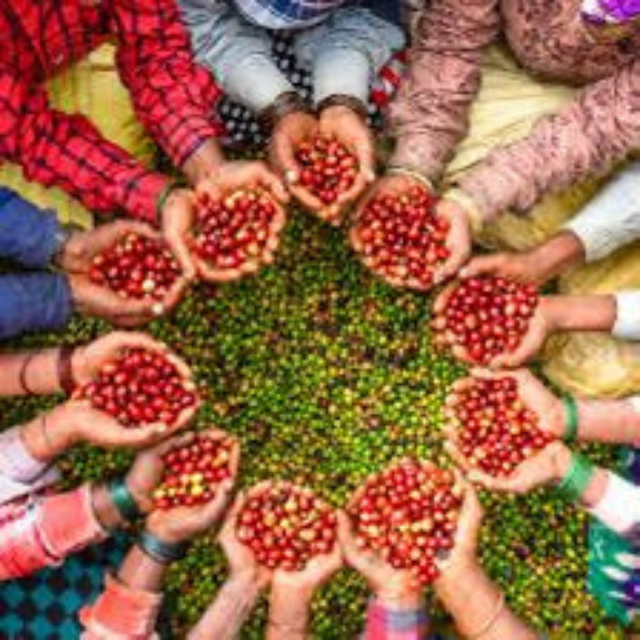 green coffee in london